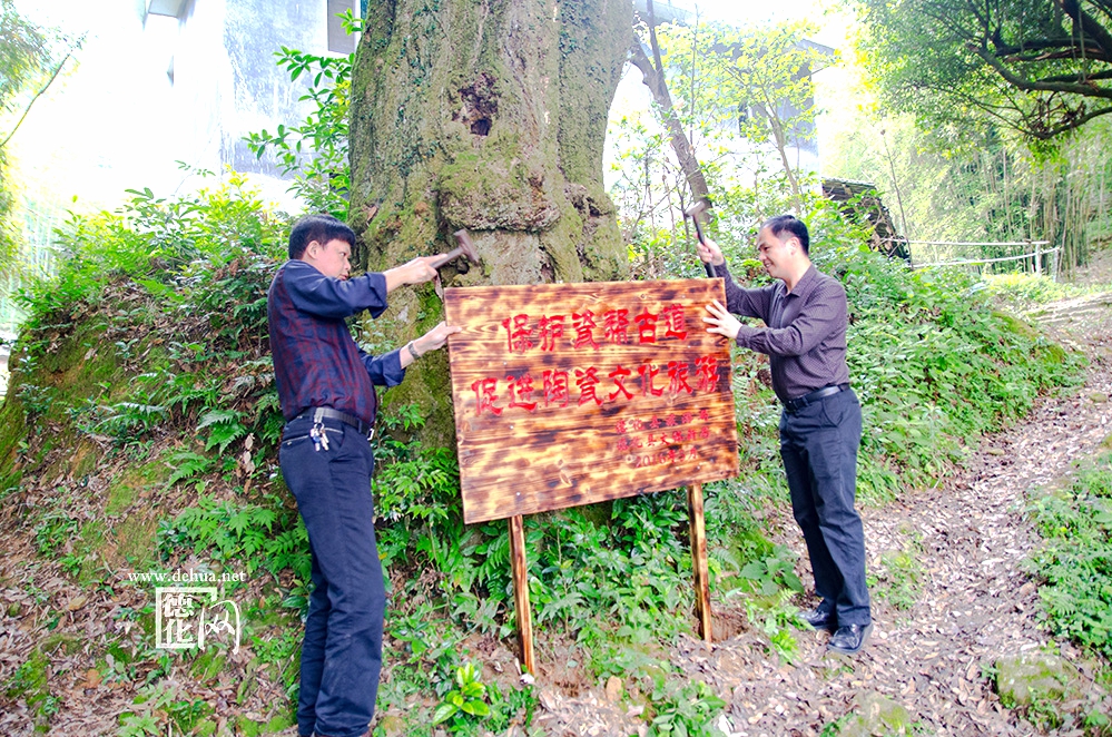 2017年文化旅游局长现场竖立瓷帮古道保护牌.jpg