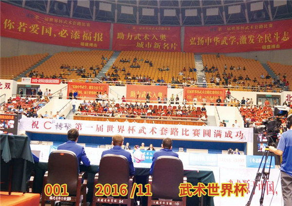 001-2016-11-武术世界杯.jpg