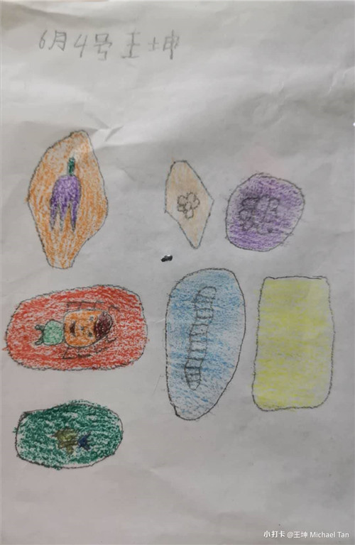 王坤 菲律宾华教中心（图4）.jpg