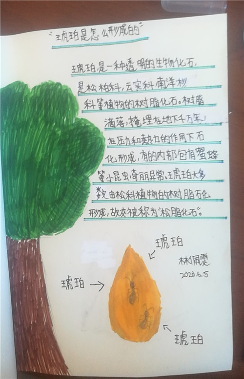 林佩雯 旅菲各校友会联合会（图6）.jpg