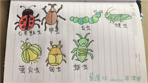 蔡逸欣 旅菲各校友会联合会（图3）_副本.jpg