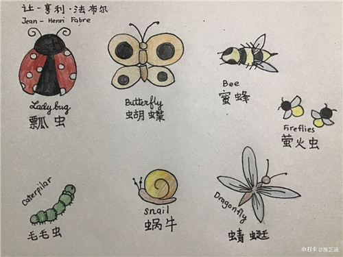 施芷涵 菲律宾华教中心（图20）.jpg