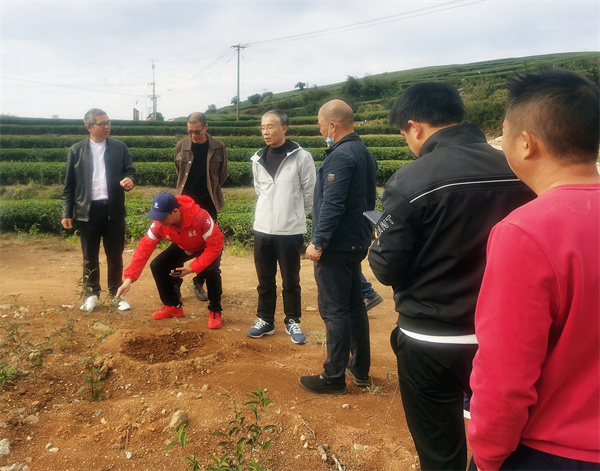 4.2021年11月25日，福建省侨联机关第六党支部组织茶叶专家深入连江长龙华侨农场开展科技指导服务。.jpg