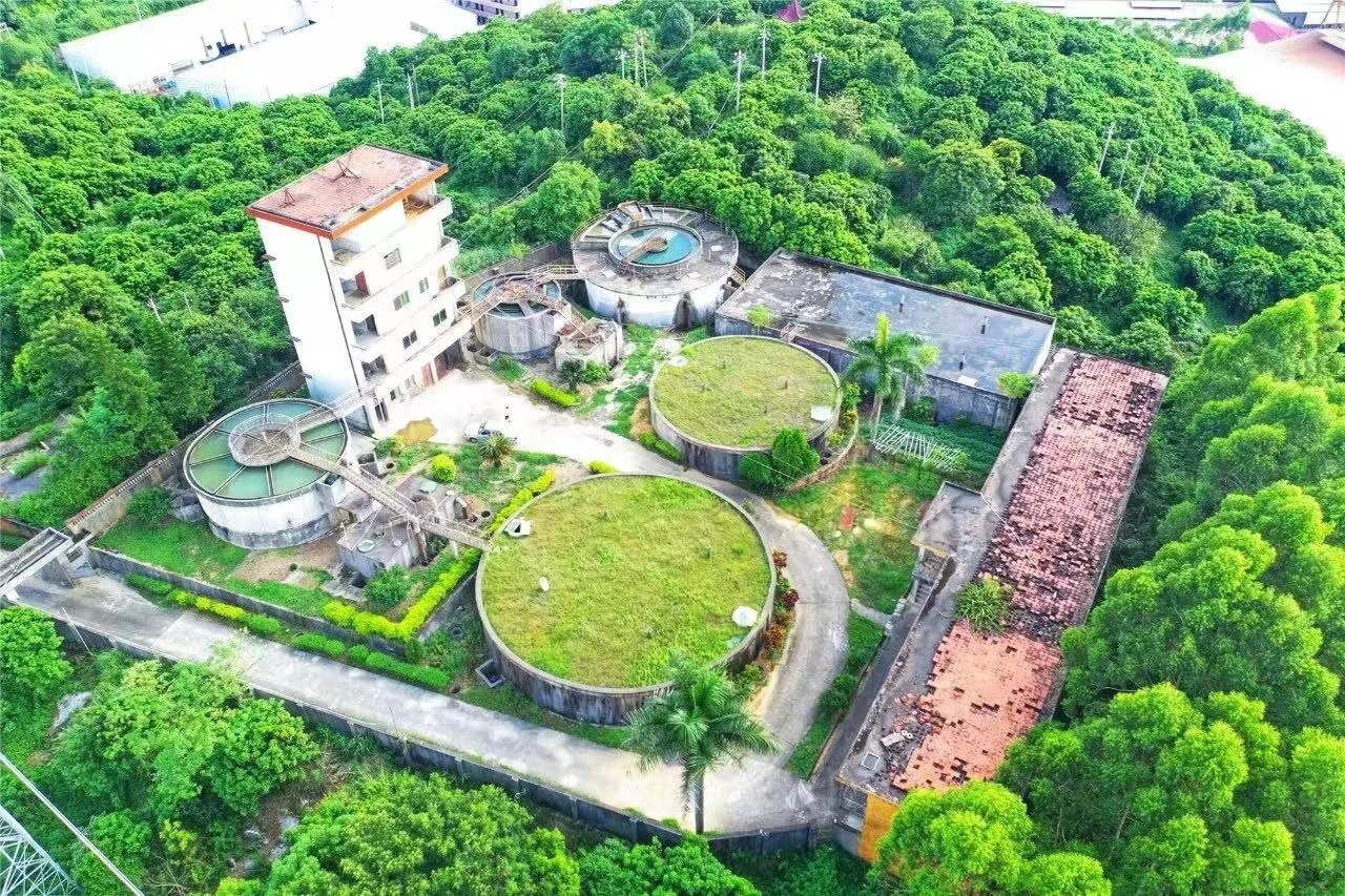 李引桐9.jpg