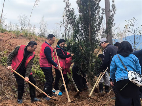 省市县侨联领导带头植树.jpg