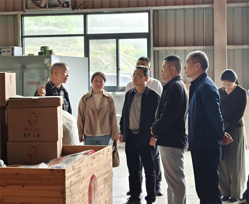 宁德市侨联一行走访福建寿之韵茶业有限公司。寿宁县侨联 供图.jpg