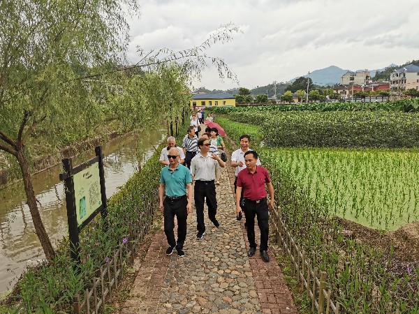 调研组参观霞溪村新农村建设.jpg