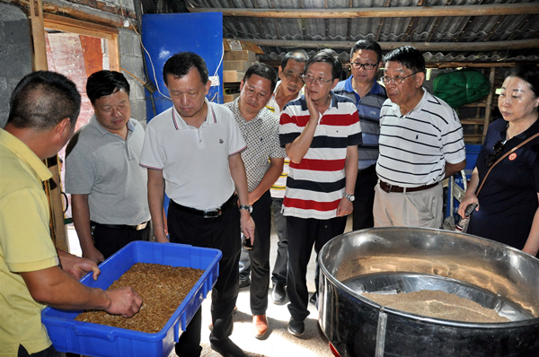 20190905考察政和天富盈合作社石蛙天然养殖基地 (45)_副本.jpg 20190905考察政和天富盈合作社石蛙天然养殖基地 (45)_副本.jpg