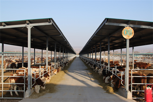 融侨丰霖(宁夏)肉牛生态产业园.jpg 融侨丰霖(宁夏)肉牛生态产业园.jpg