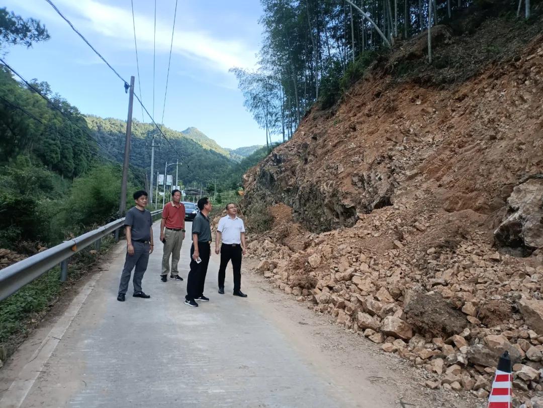 陈行贵实地察看“6·9”极端暴雨洪涝灾害水毁受灾道路与农田.jpg