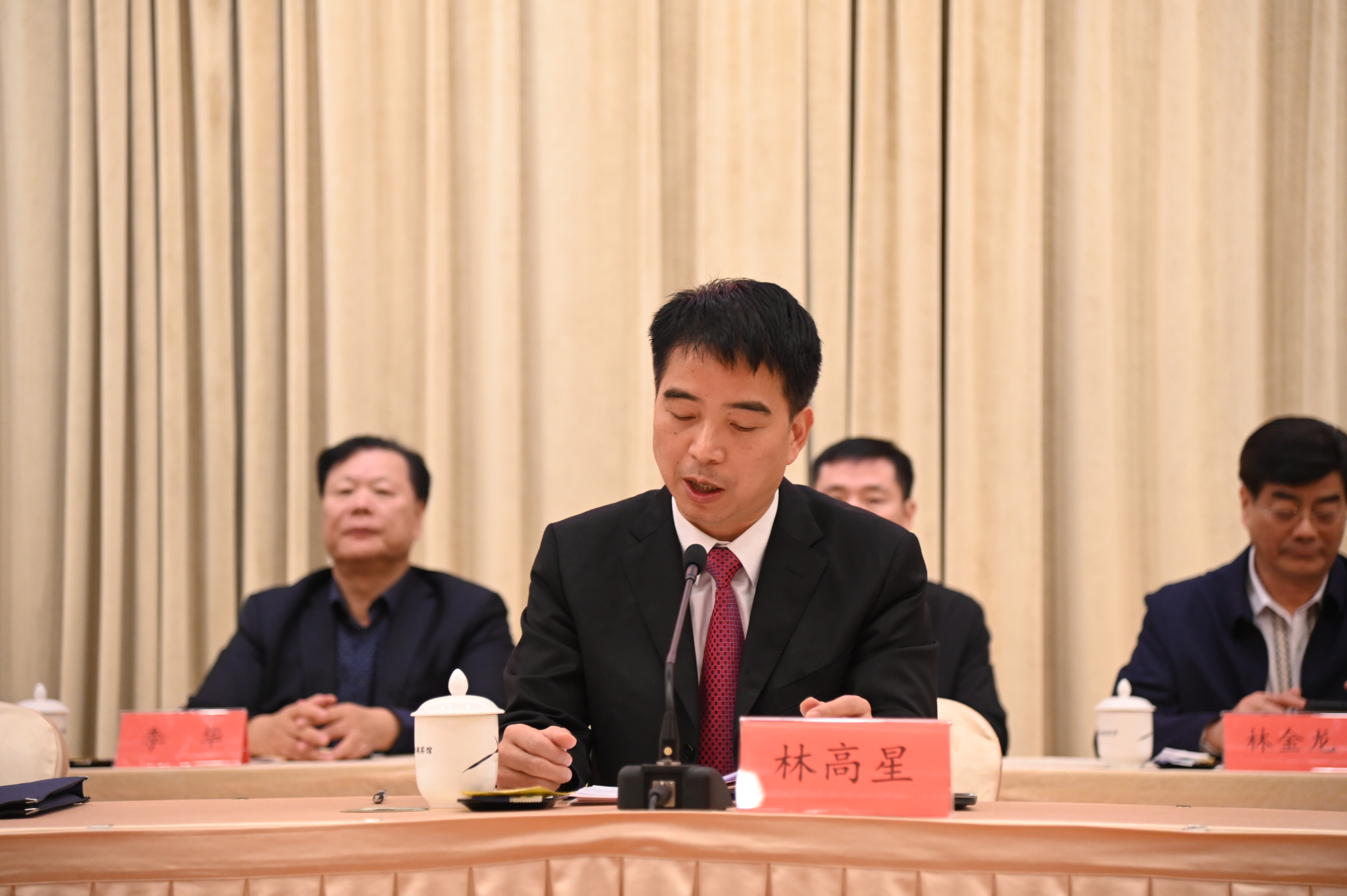 市侨联主席林高星作工作报告.JPG