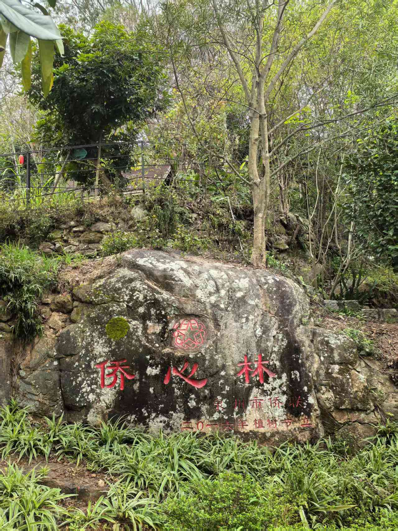 图1.jpg