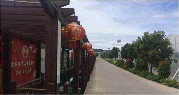 图片4参观东张农业产业.jpg 图片4参观东张农业产业.jpg